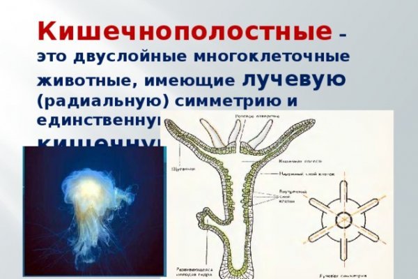 Код восстановления blacksprut