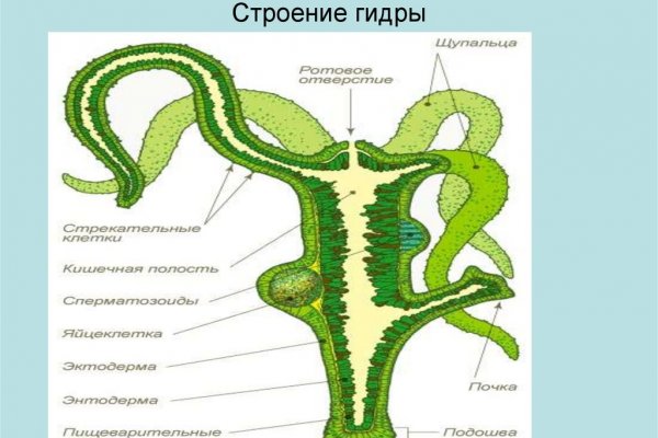 Блэк спрут blacksprul me